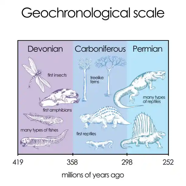 Evolution of Fish in Geochronological Scale